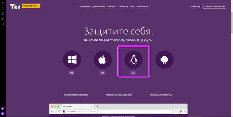 скачать tor browser на русском бесплатно для linux megaruzxpnew4af